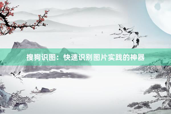 搜狗识图：快速识别图片实践的神器