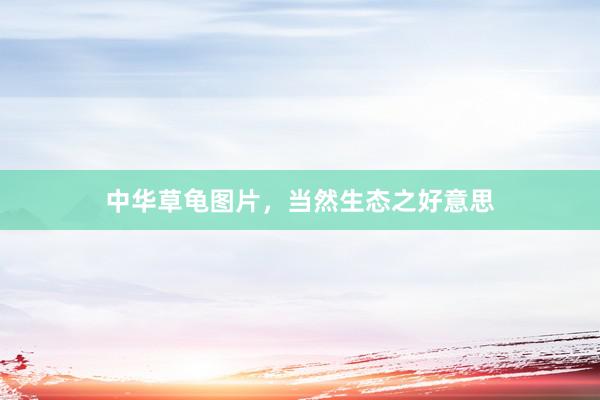 中华草龟图片，当然生态之好意思